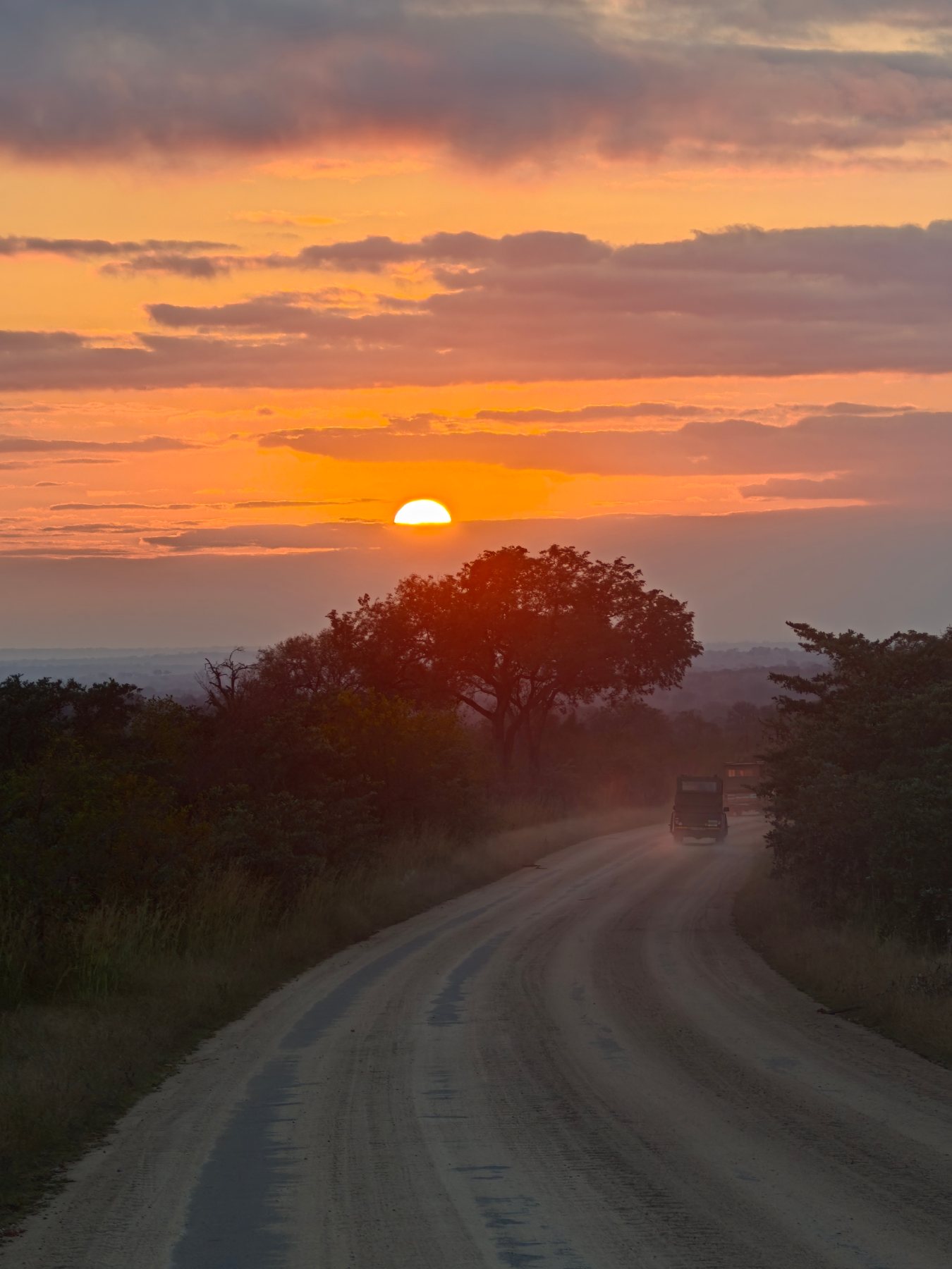 Morning Safari Mood